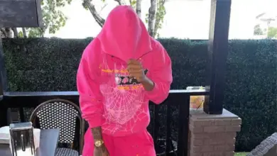 Spider Hoodie Weaving a Web of Style and Symbolism