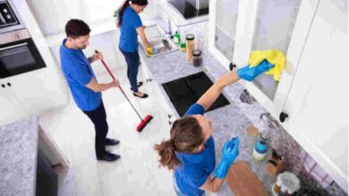 Trustworthy house cleaners Boston