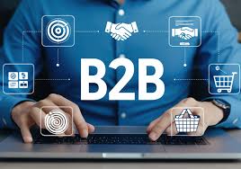 B2B Portal Development