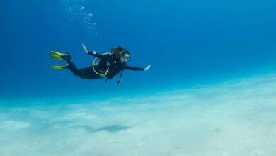 Best Time to Dive in the Maldives