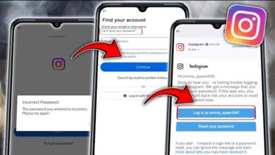 Instagram Password Problems