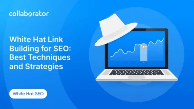 What is the safest way to get high-quality backlinks with a white-hat guest post service?
