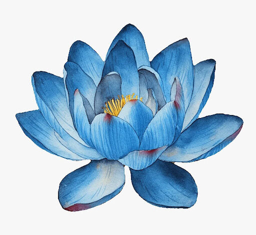 Blue Lotus Tea