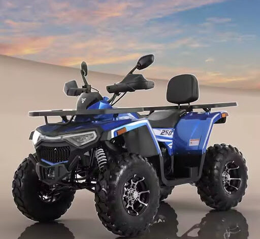 ATV Wholesale Business