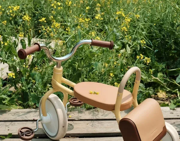 Tricycles for Toddlers
