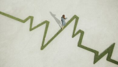 Cardiology Lifestyle and Prevention