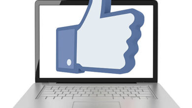 Website SEO Friendly